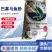 巴拿马鱼粉蛋白60%