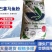 巴拿马鱼粉蛋白60%