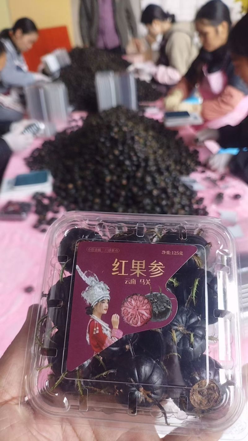 红果参水果一件代发代采代办