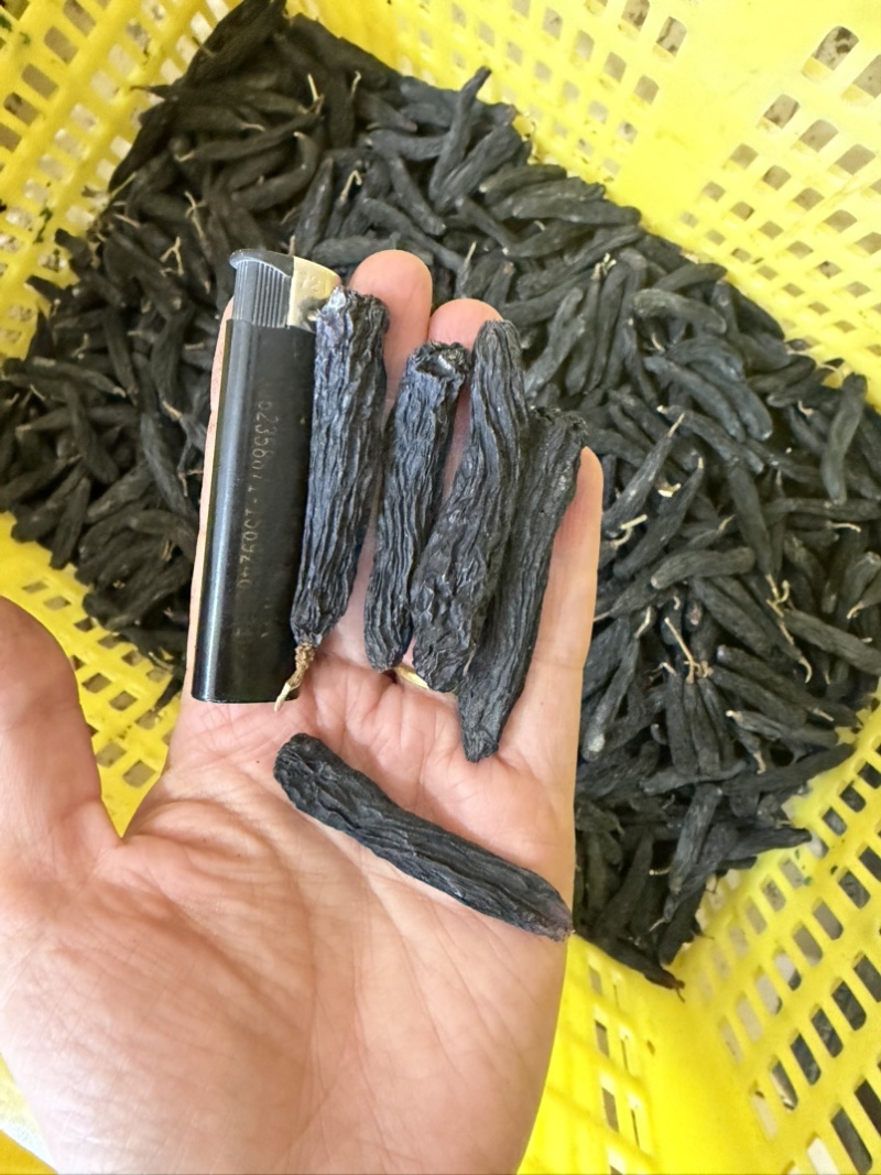 新疆蓝宝石葡萄干精品，产地发货，可以代发