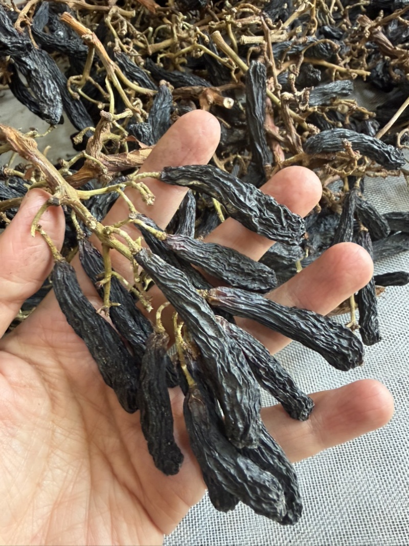 新疆蓝宝石葡萄干精品，产地发货，可以代发