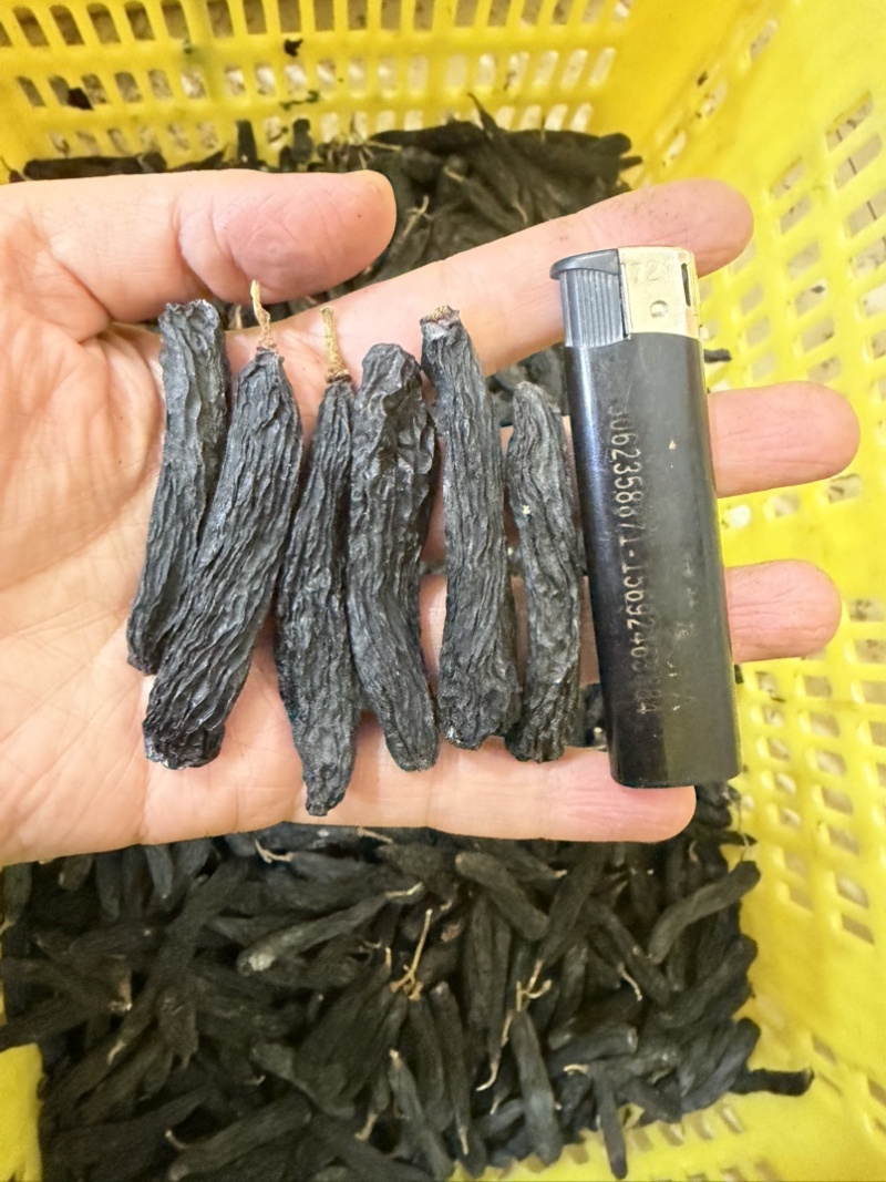 新疆蓝宝石葡萄干精品，产地发货，可以代发