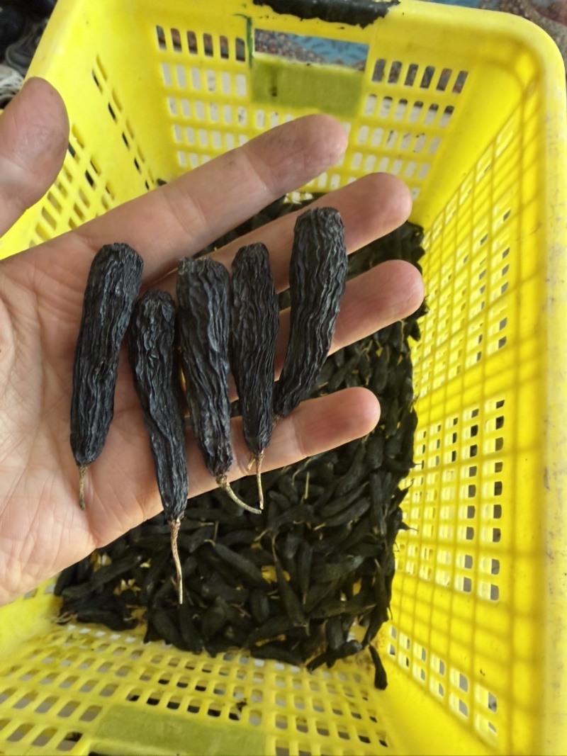 新疆蓝宝石葡萄干精品，产地发货，可以代发