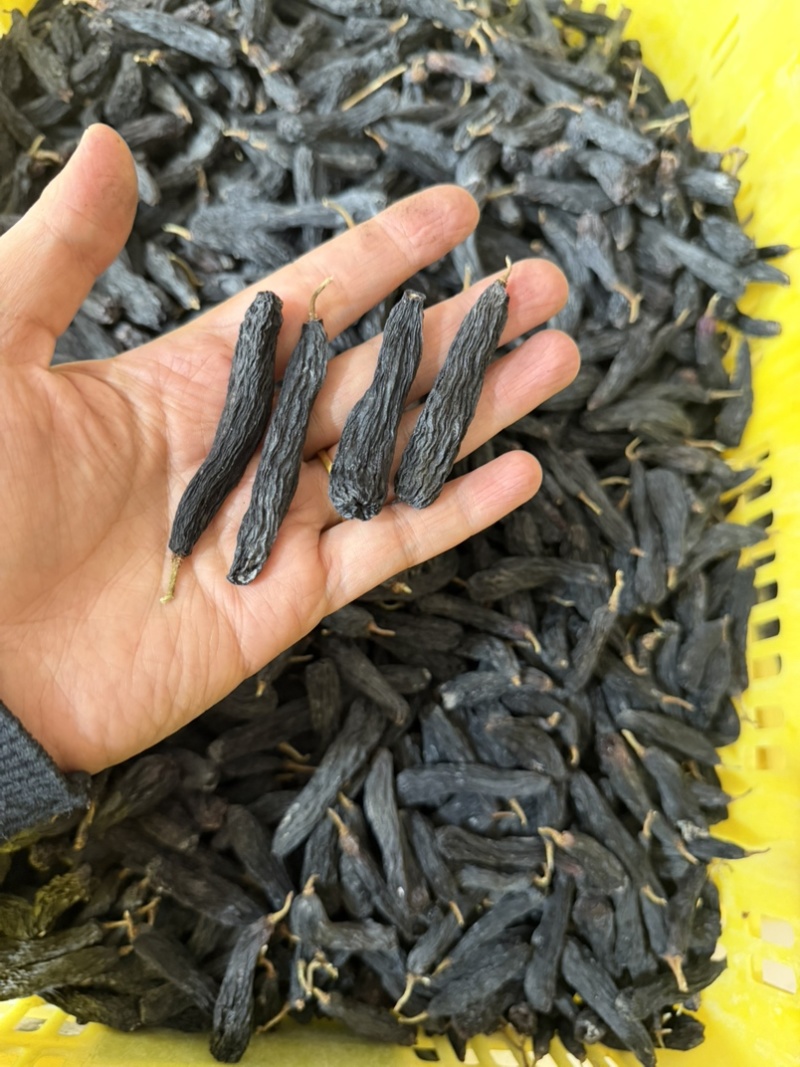 新疆蓝宝石葡萄干精品，产地发货，可以代发