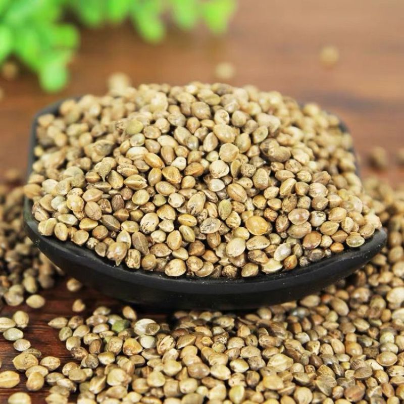 火麻仁中药材火麻仁有壳去火麻仁不硫熏精选正品新货