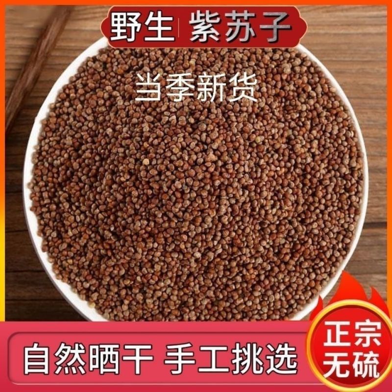 紫苏子中药材自然晾晒手工挑选颗粒饱满正品无硫