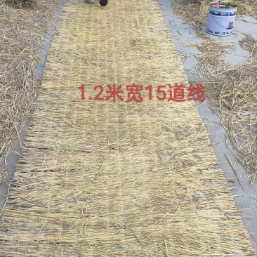 光厚稻草苫草帘