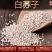 白苏子中药材鸟食饲料白苏籽无硫白软苏子正品