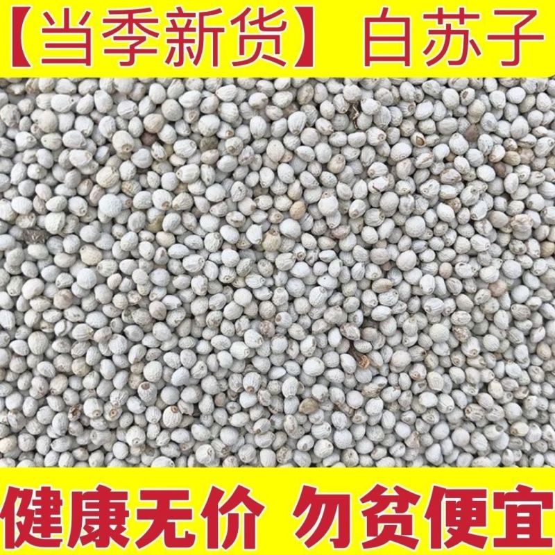 白苏子中药材鸟食饲料白苏籽无硫白软苏子正品