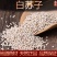 白苏子中药材鸟食饲料白苏籽无硫白软苏子正品
