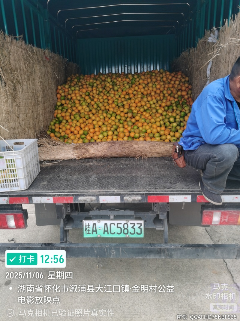 大江口纽荷尔。