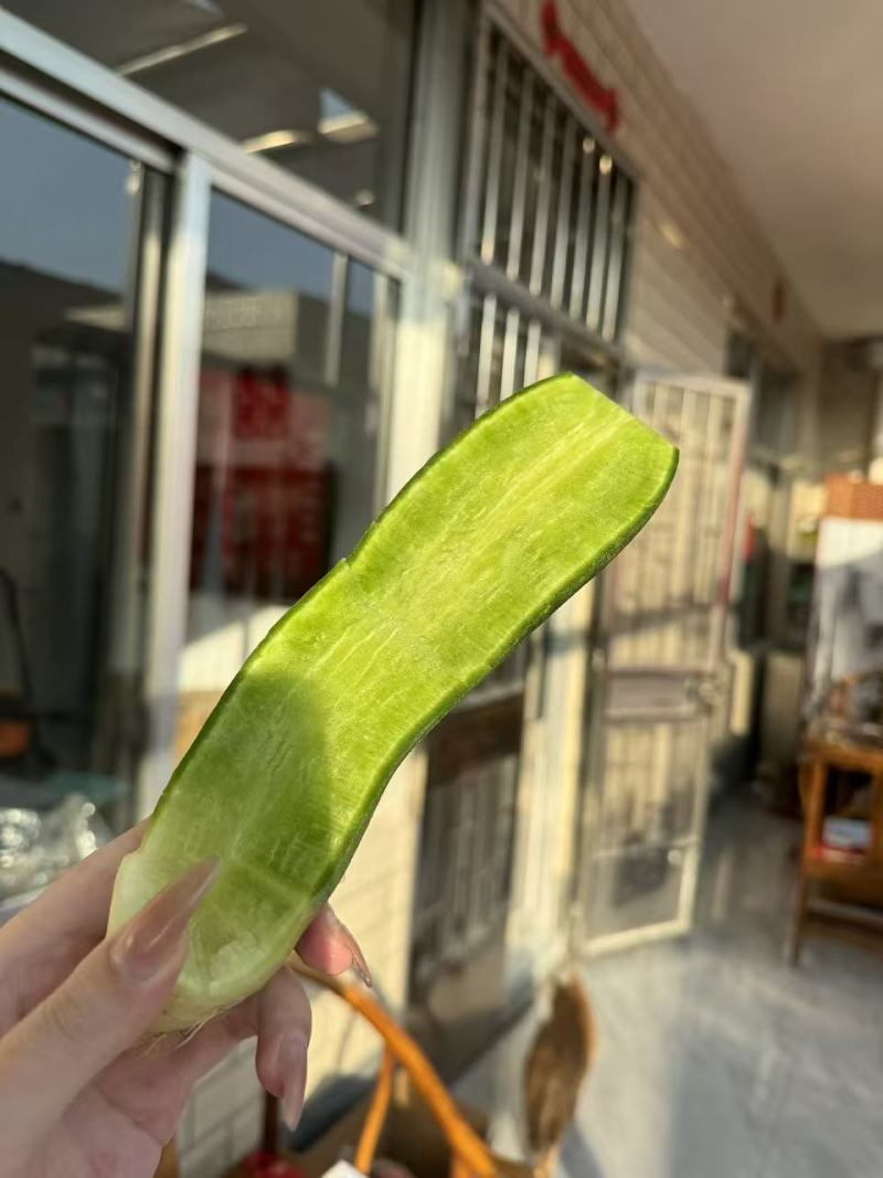 正宗潍县水果萝卜电商一件代发