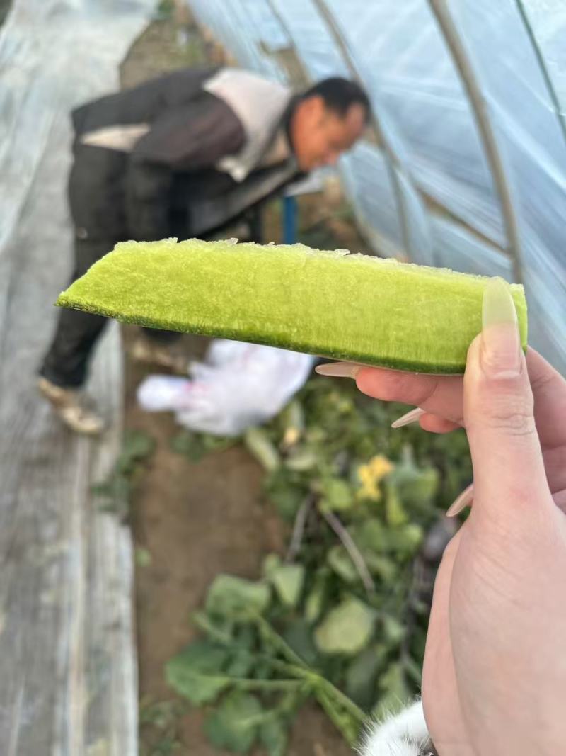正宗潍县水果萝卜电商一件代发