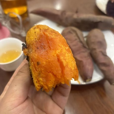 榴莲蜜薯种植