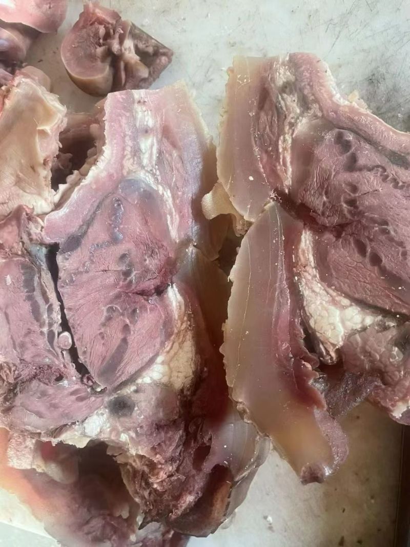 【熟牛头肉】牛头肉