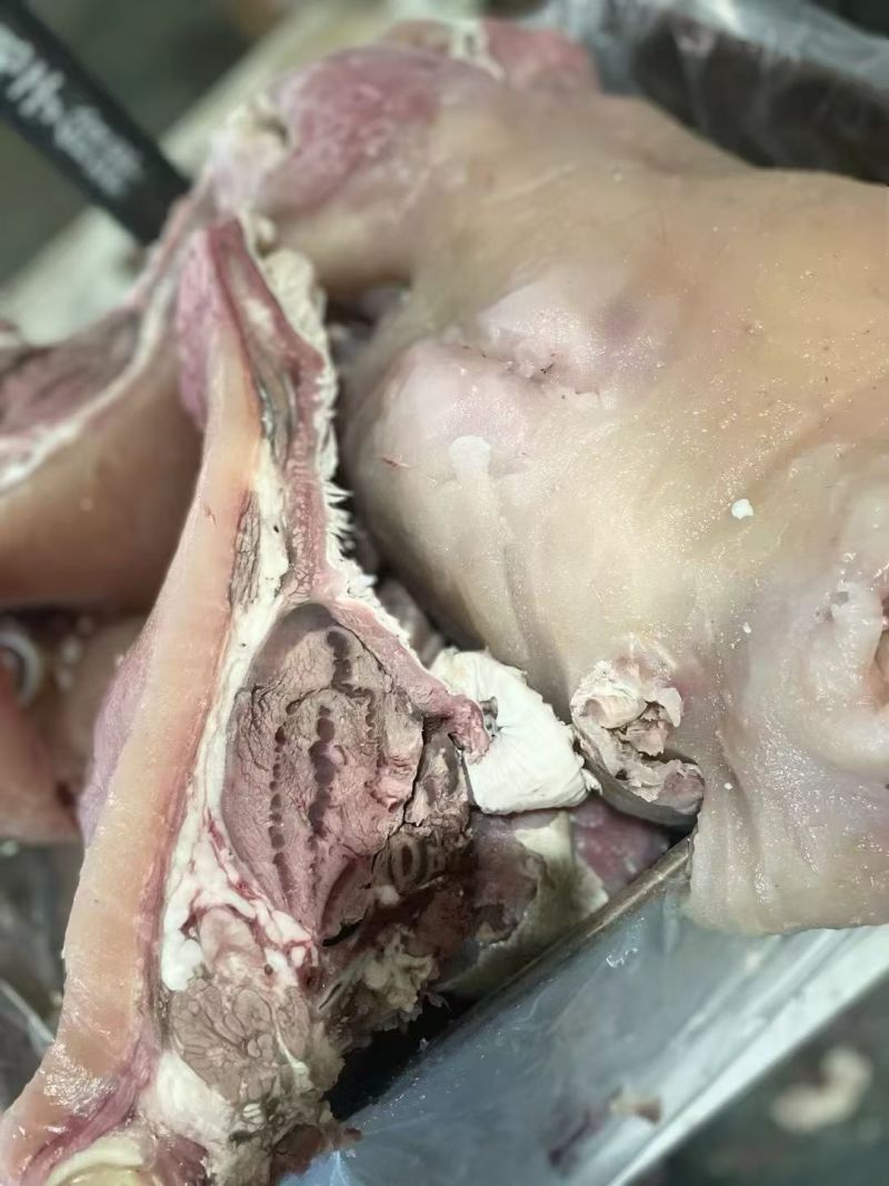 【熟牛头肉】牛头肉
