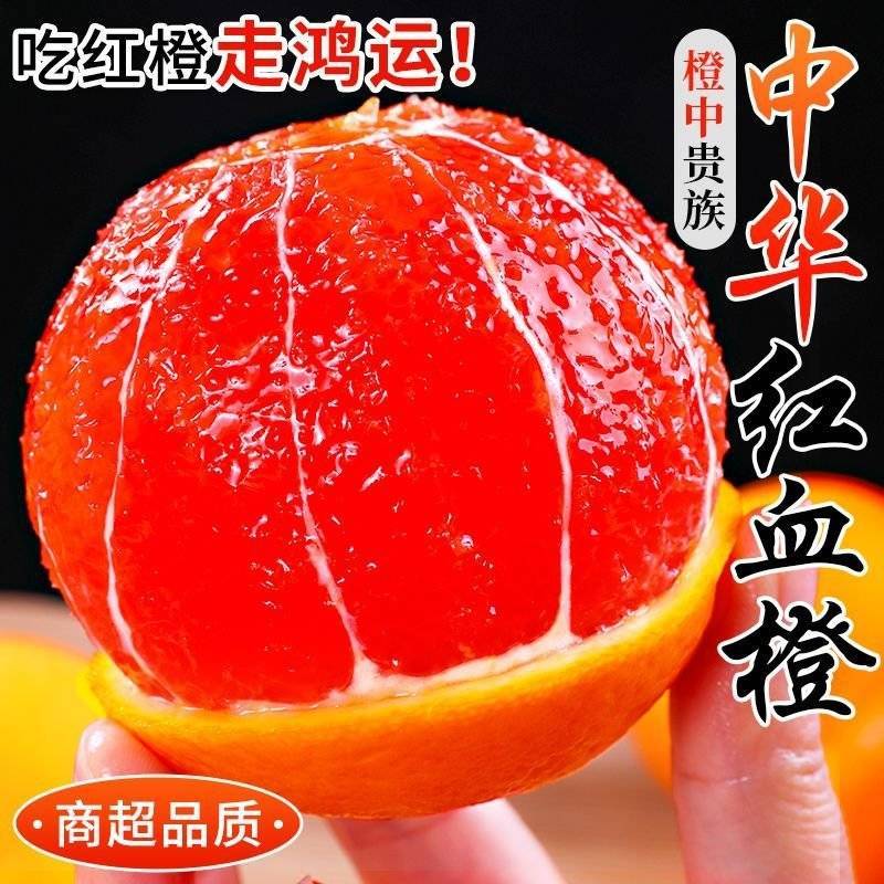 秭归中华红血橙全平台一件代发