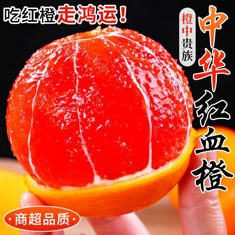 秭归中华红血橙全平台一件代发