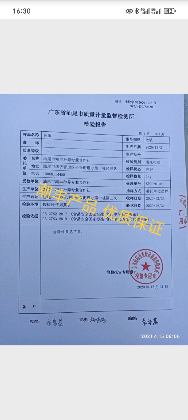 源自华侨农场，一口红宝石番石榴，尝尽热带鲜醇