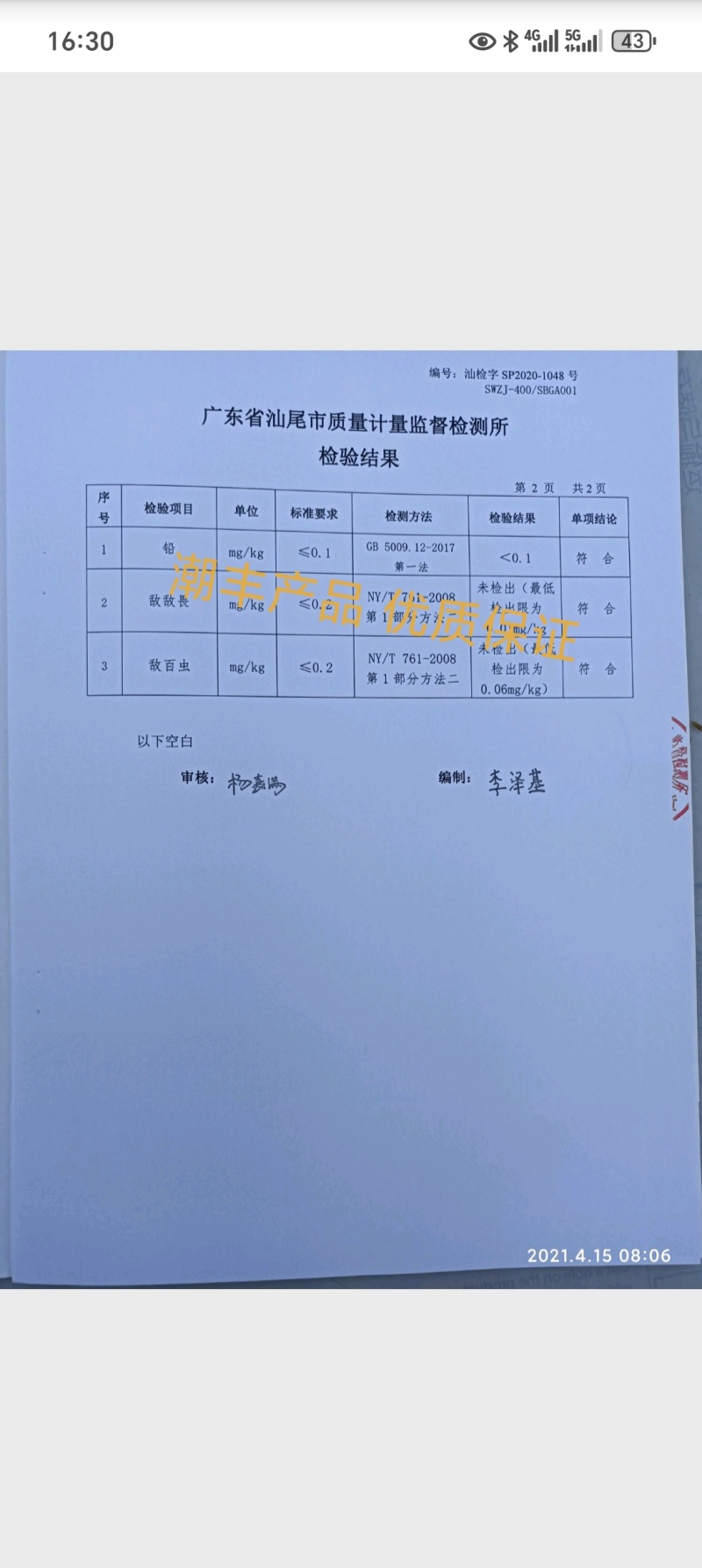 现摘现发本地优选帝王番石榴（芭乐）——果香浓郁，脆甜多