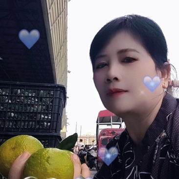广西武鸣皇帝柑。现摘现卖。