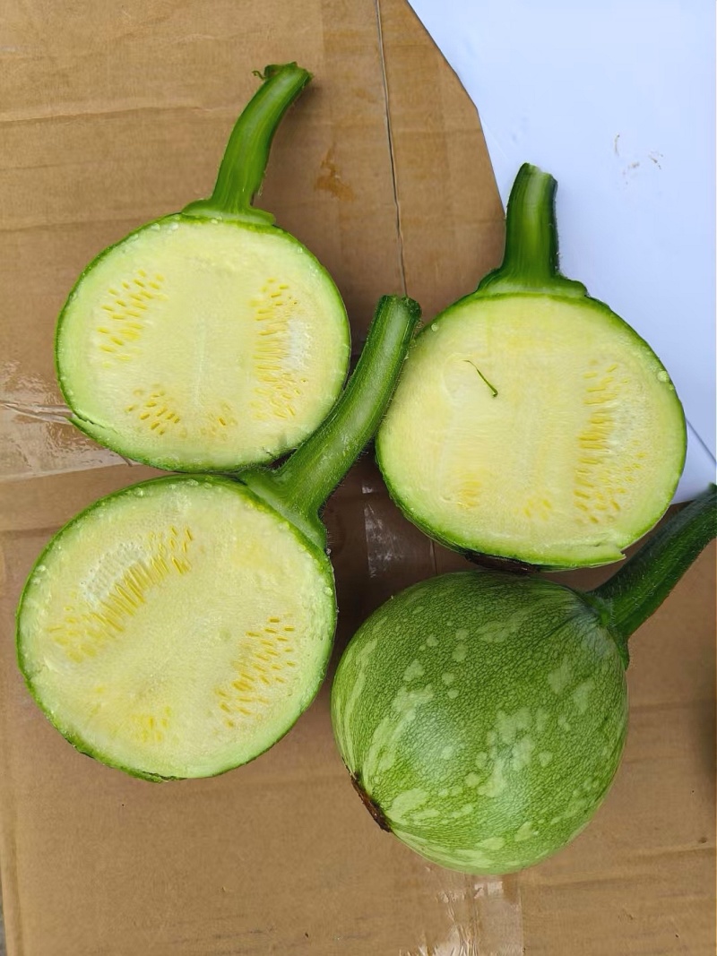 南瓜种子花木南白花皮黄肉紧实瓜形圆花蒂小早熟高产