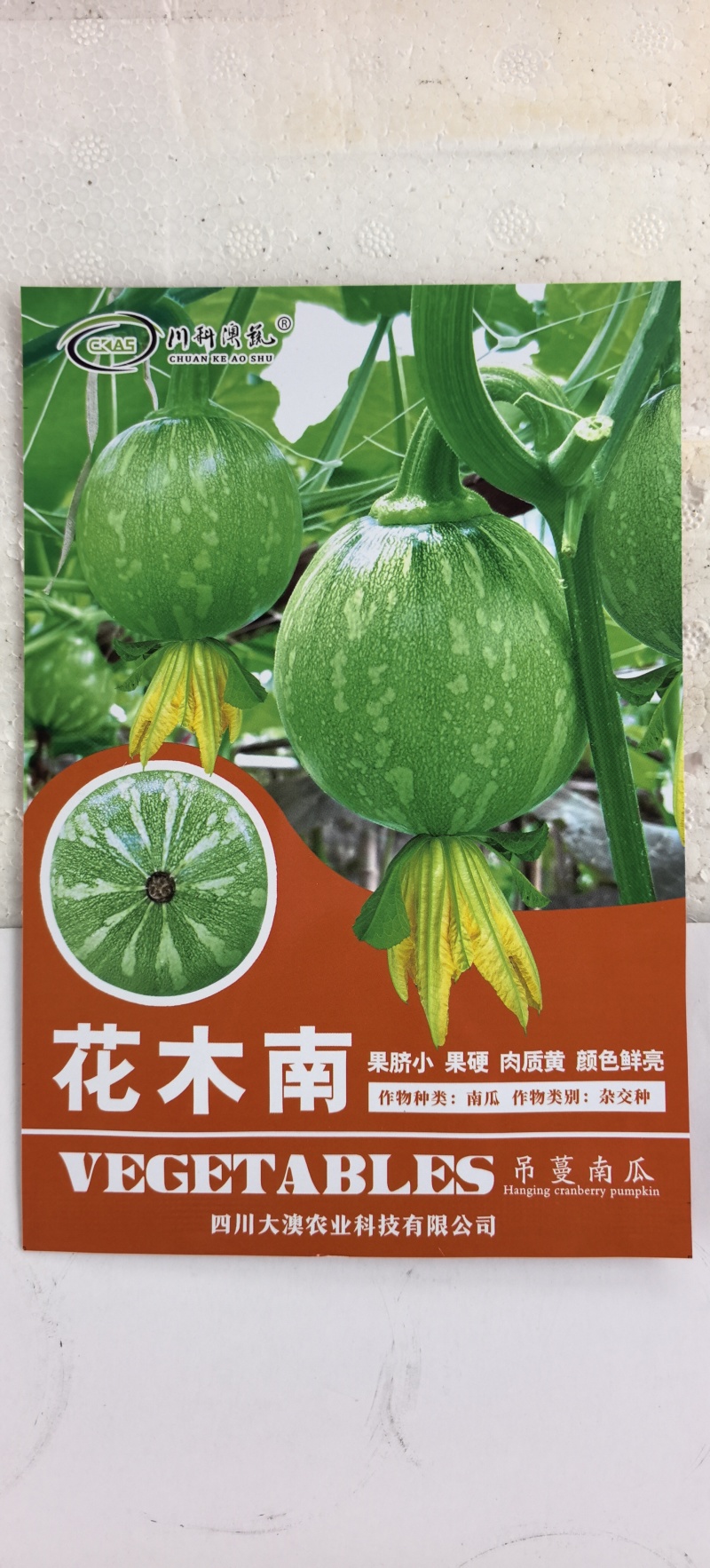 南瓜种子花木南白花皮黄肉紧实瓜形圆花蒂小早熟高产