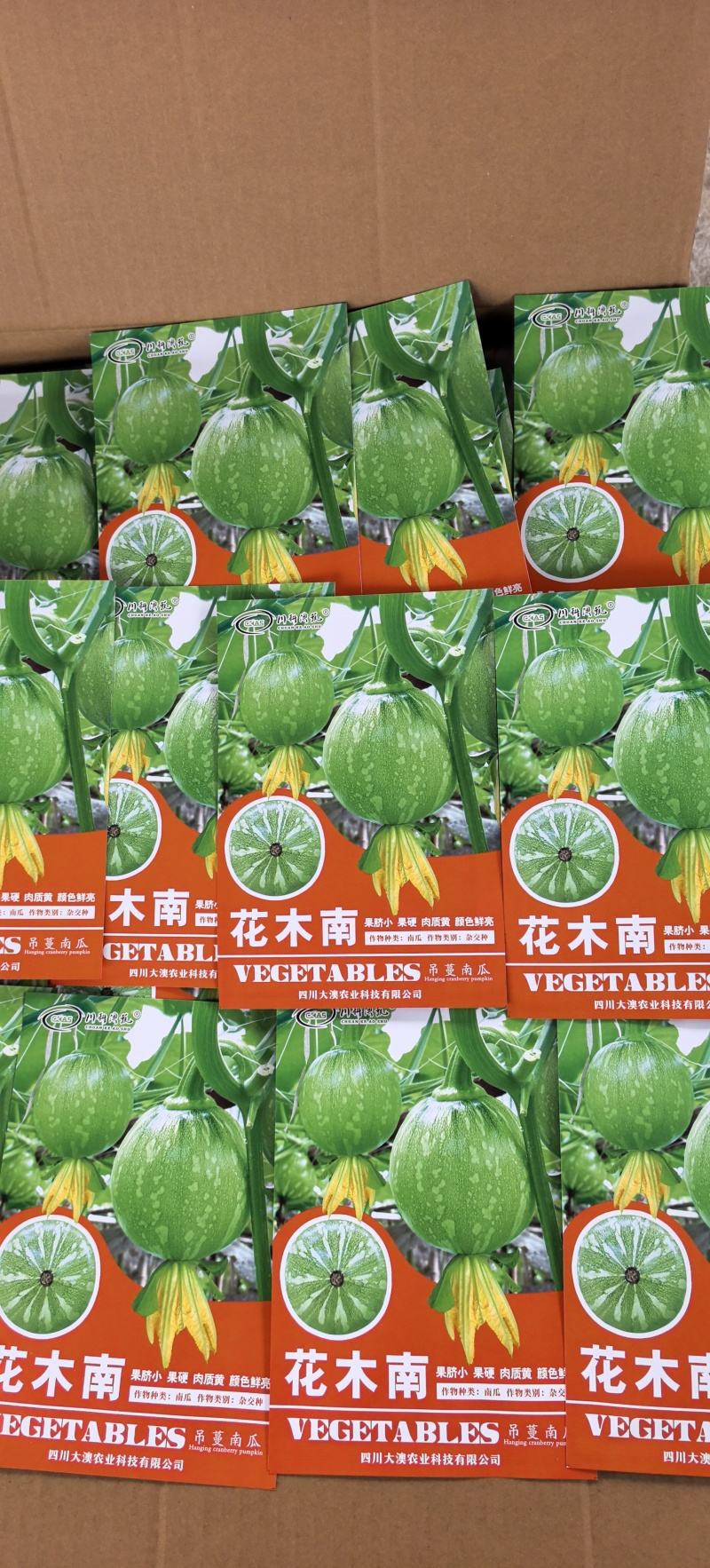 南瓜种子花木南白花皮黄肉紧实瓜形圆花蒂小早熟高产