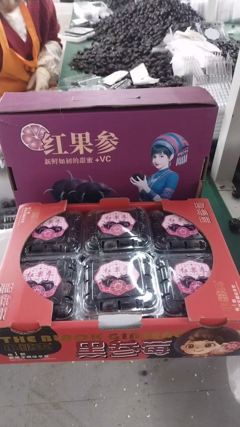 红果参水果一件代发代采代办