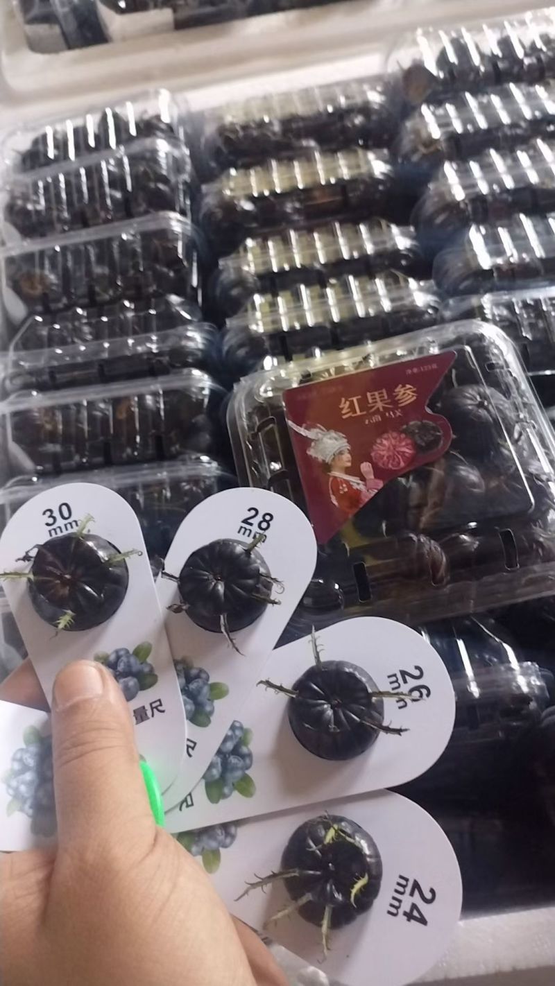 红果参水果一件代发代采代办