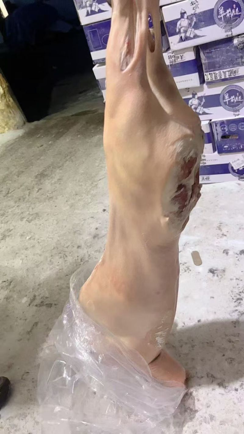 羊腔子
