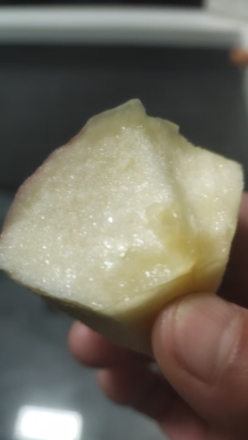 20万斤土岐水蜜桃苹果
