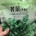 野生大叶荠菜种子耐寒耐热生长快抗病春秋露地大棚播荠菜种子