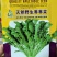野生大叶荠菜种子耐寒耐热生长快抗病春秋露地大棚播荠菜种子