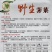 野生荠菜种子香味浓郁耐寒耐寒春秋露地种植荠菜种子