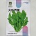 野生荠菜种子香味浓郁耐寒耐寒春秋露地种植荠菜种子