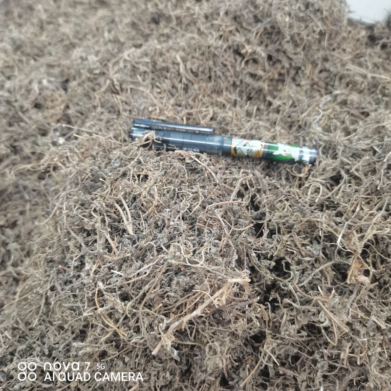 鹅不食草干净切断规格齐全常年大货供应