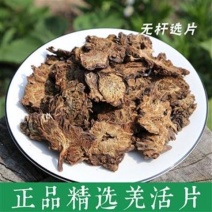 羌活中药材正宗野生羌活批发零售货真价实假一赔十