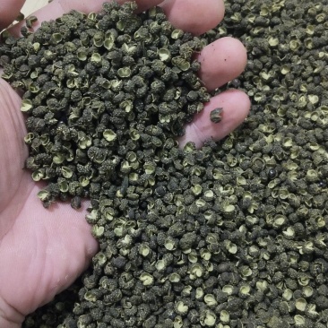 麻椒粒无籽青麻椒红麻椒正品中药材干净颗粒饱满