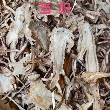 当归中药材自然晾晒手工挑选干净无杂正品中药材