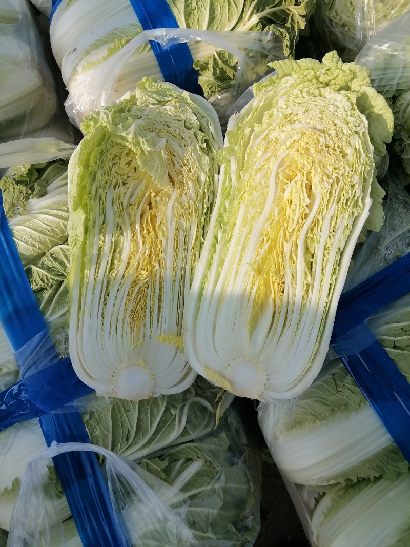 各种大白菜