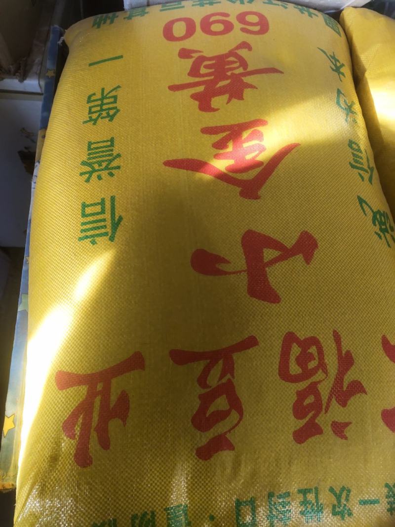 芽豆690