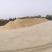 辽星水稻300吨