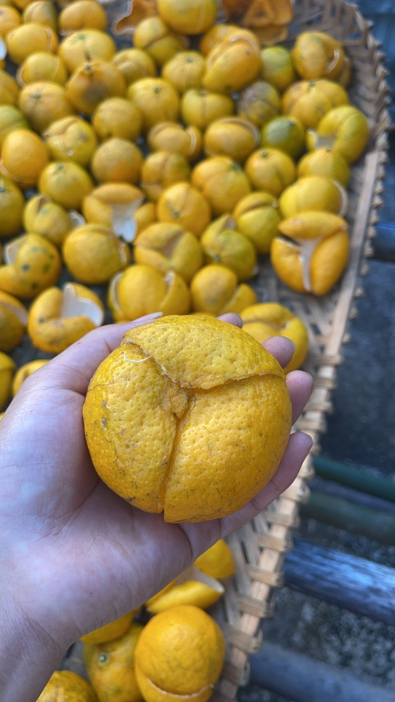 识“材”食用：如何挑选一块好的广西陈皮？