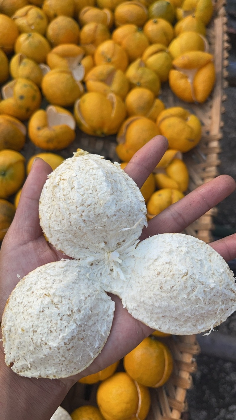 识“材”食用：如何挑选一块好的广西陈皮？