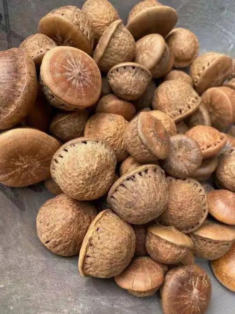 风流果石头果中药材欢迎各位老板来电咨询订购