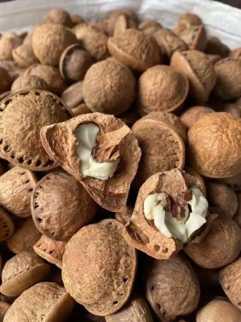 风流果石头果中药材欢迎各位老板来电咨询订购