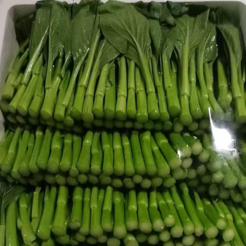 小菜心，稳量供应。