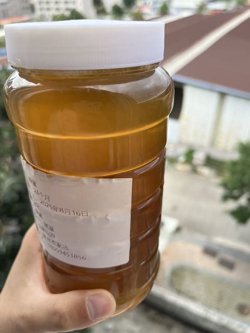 福建深山农家土蜂蜜品质有保障