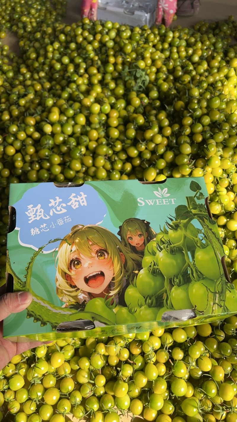 青甜二号，大量有货，对接商超，档口，电商一件代发